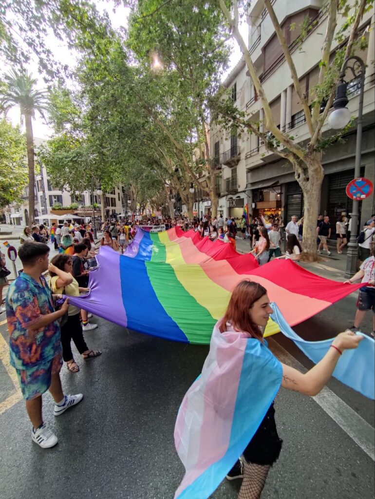 Imagen de galería 1435