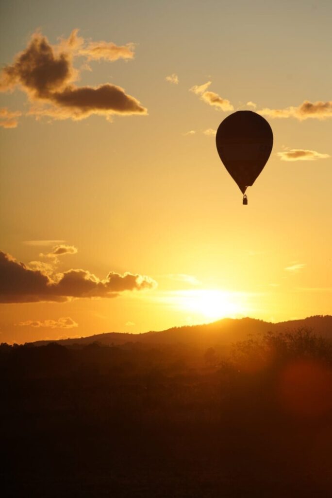 Imagen de galer&iacute;a 638