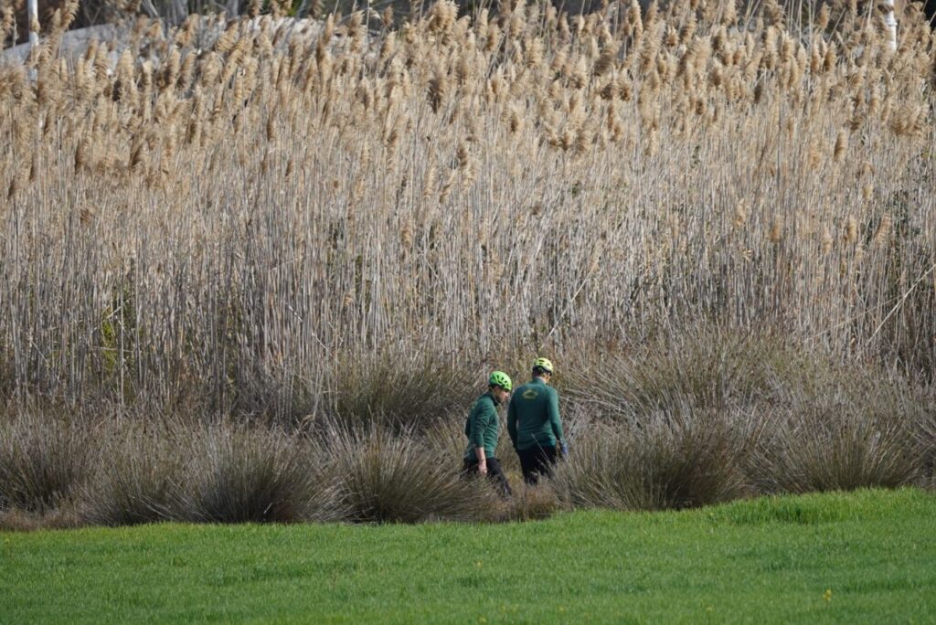 Imagen de galer&iacute;a 1310