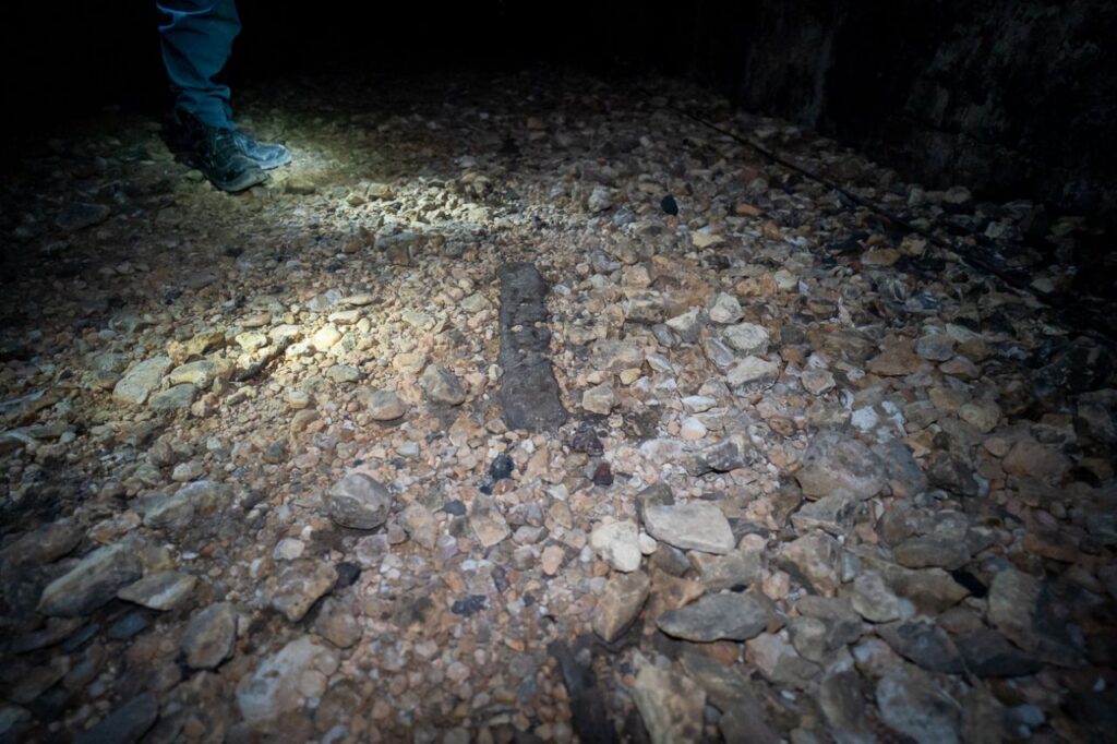 Imagen de galería 940