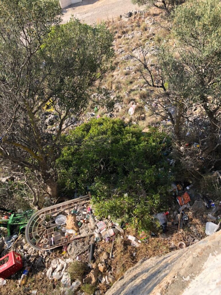 Imagen de galería 1318