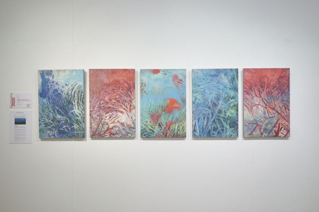 Imagen de galería 824