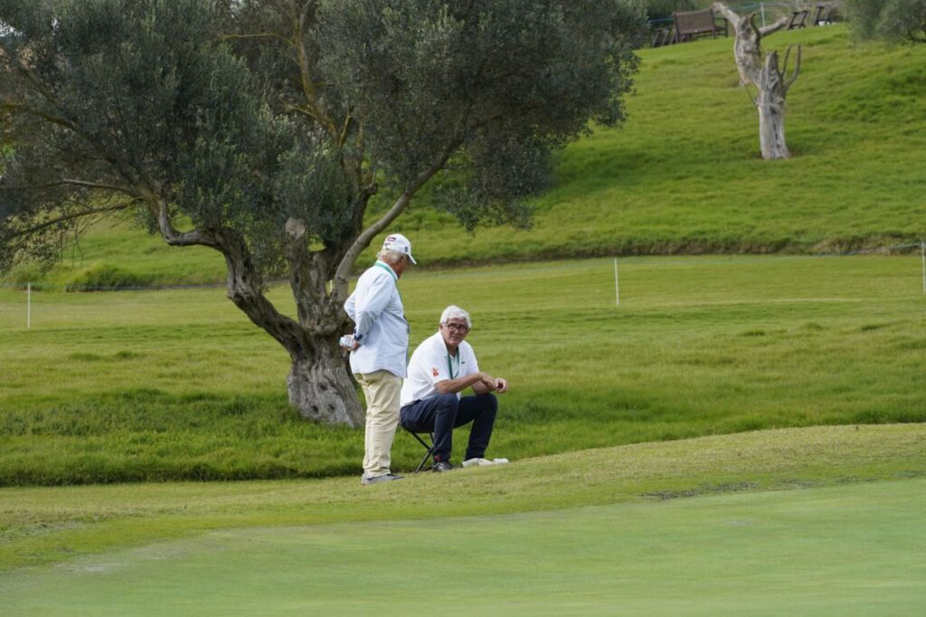 Imagen de galería 1168