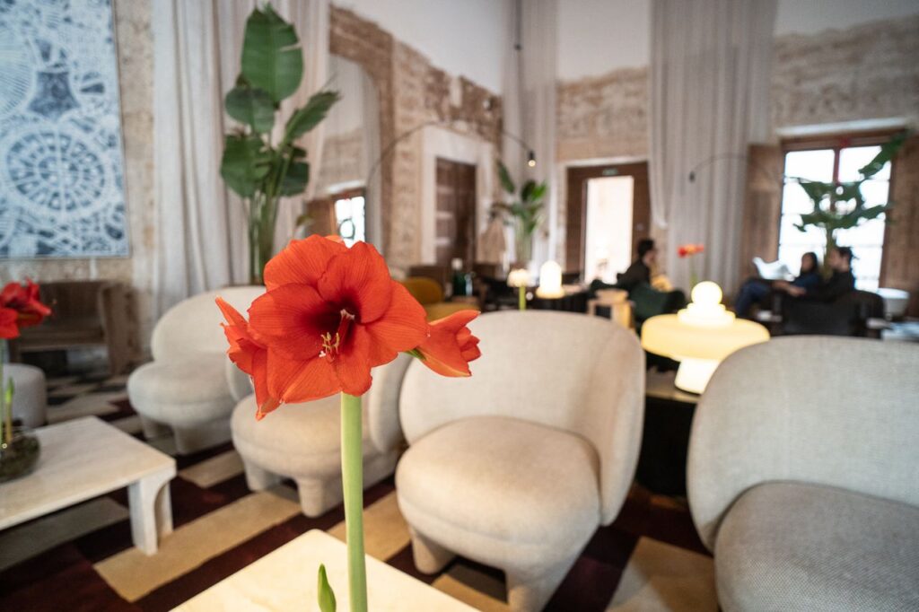 Imagen de galería 1697