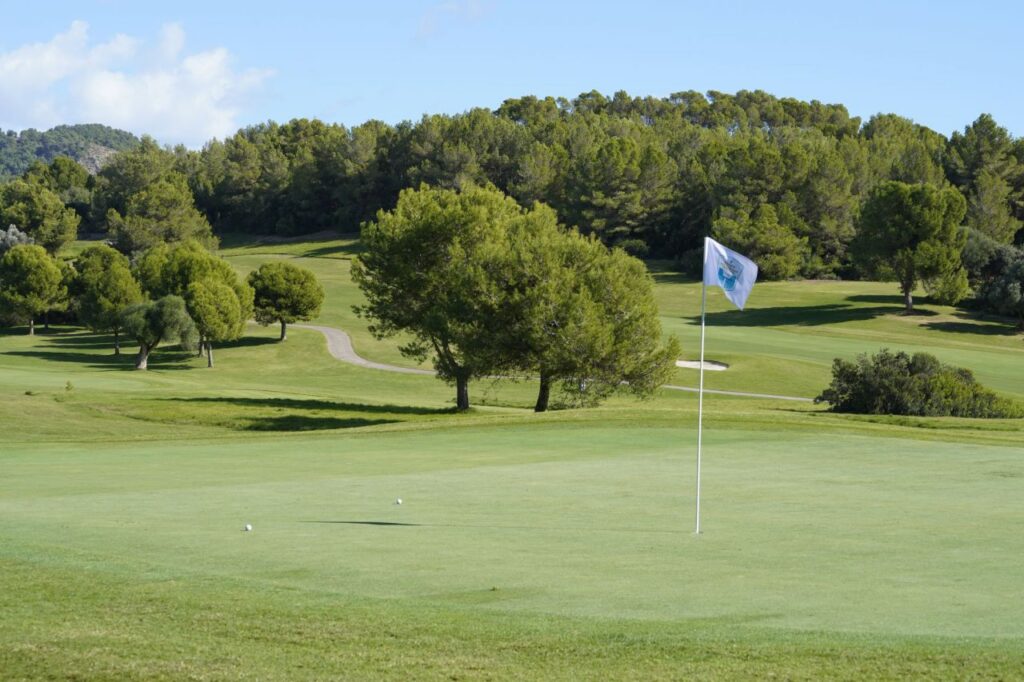 Imagen de galería 1170