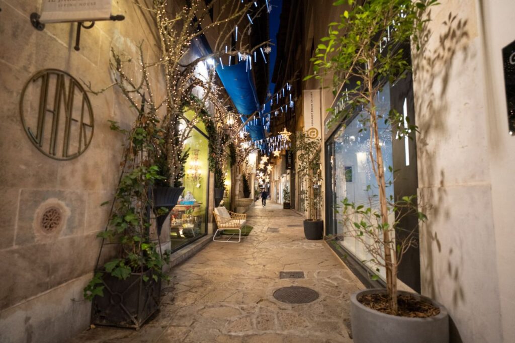 Imagen de galería 1220