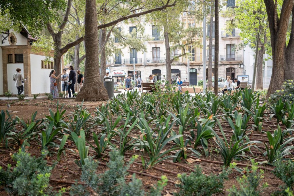 Imagen de galer&iacute;a 1856