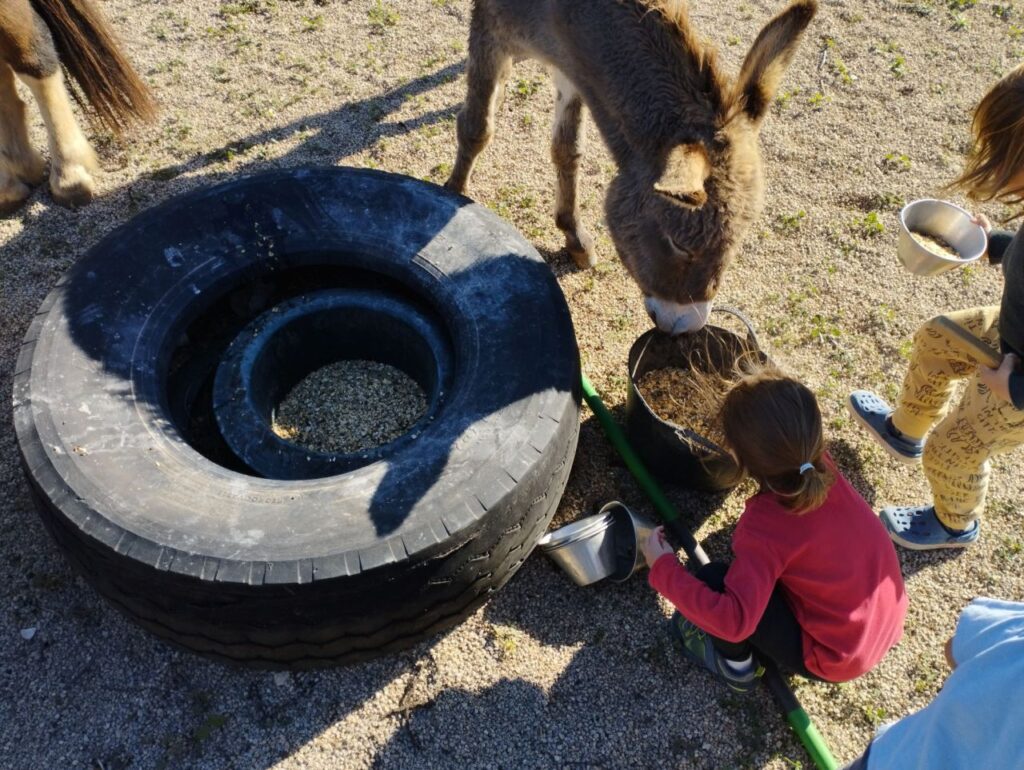 Imagen de galería 1389