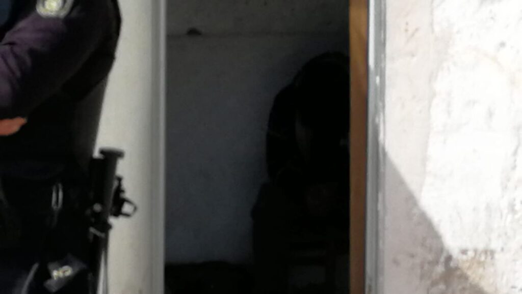 Imagen de galer&iacute;a 484