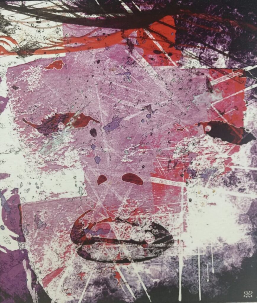 Imagen de galería 997