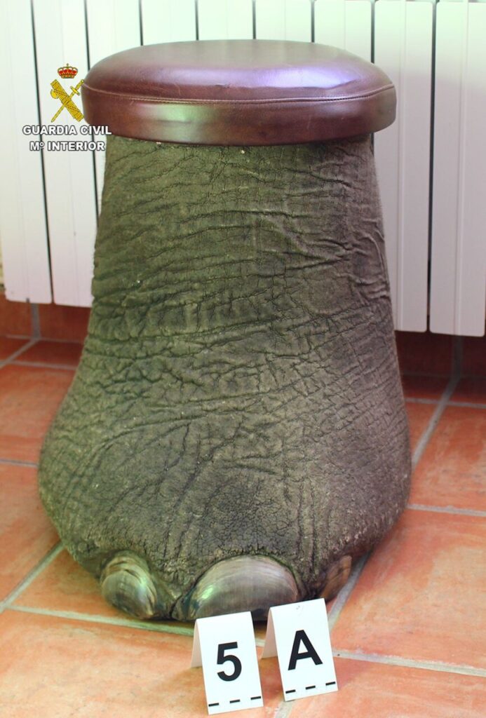 Imagen de galer&iacute;a 157