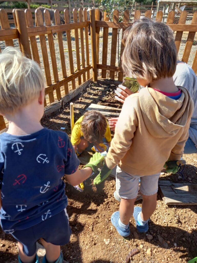 Imagen de galería 1389