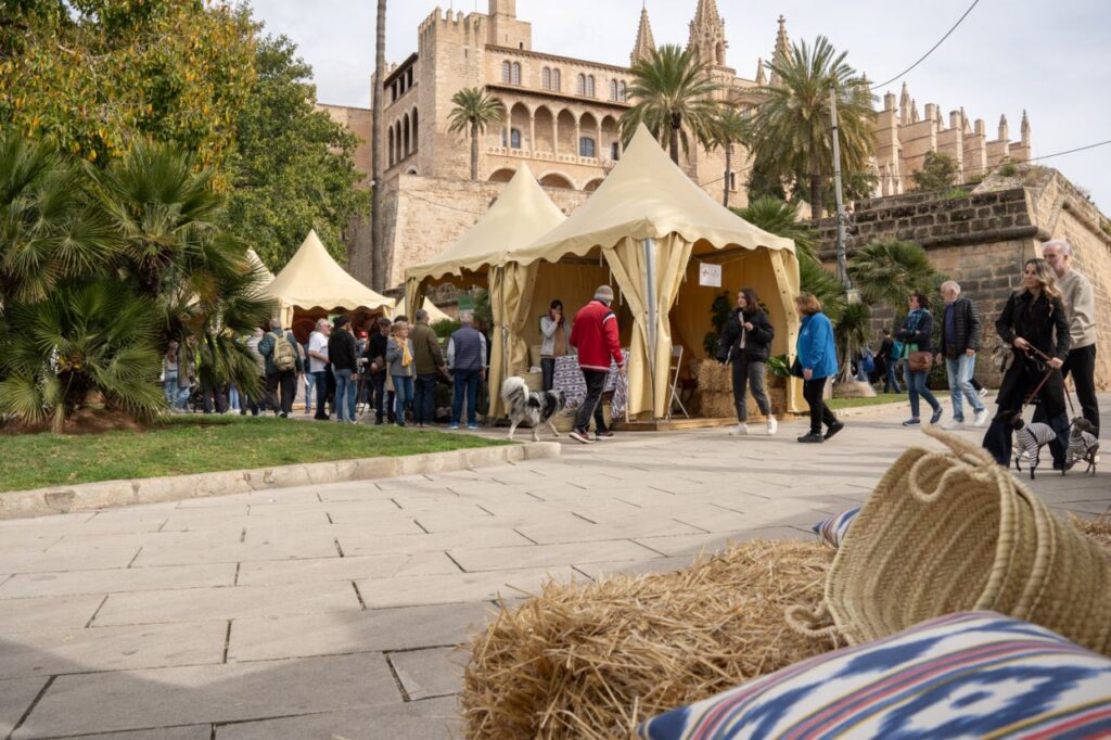 Imagen de galería 1970