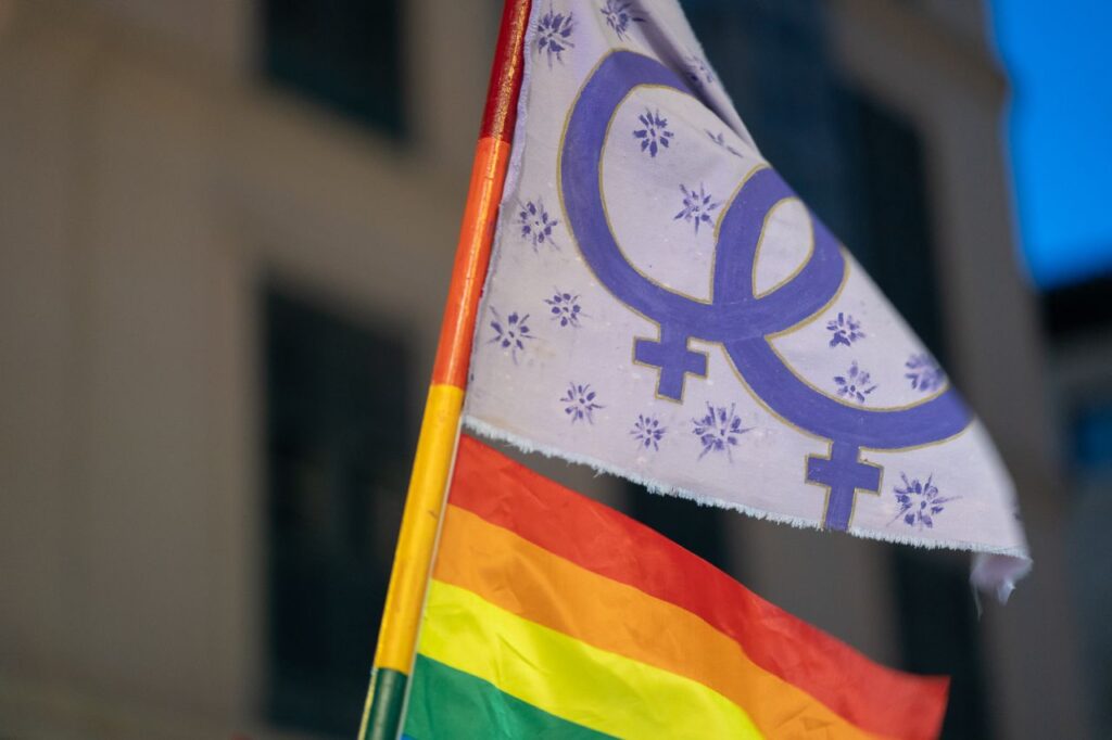 Imagen de galer&iacute;a 1675