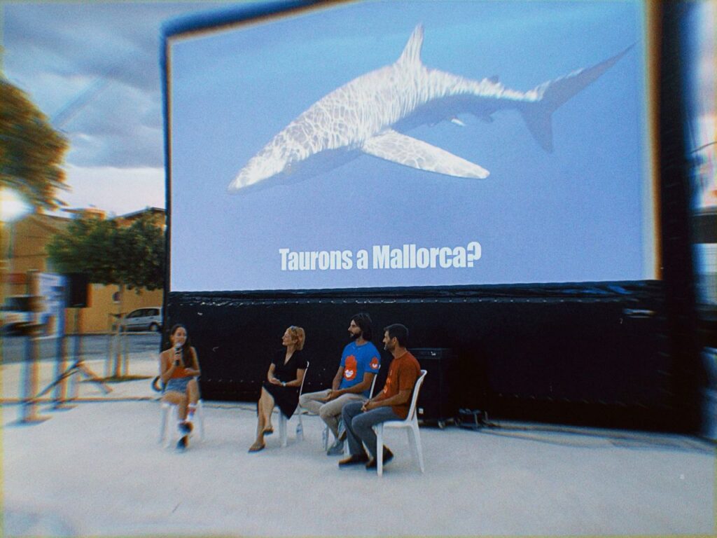 Imagen de galer&iacute;a 1100