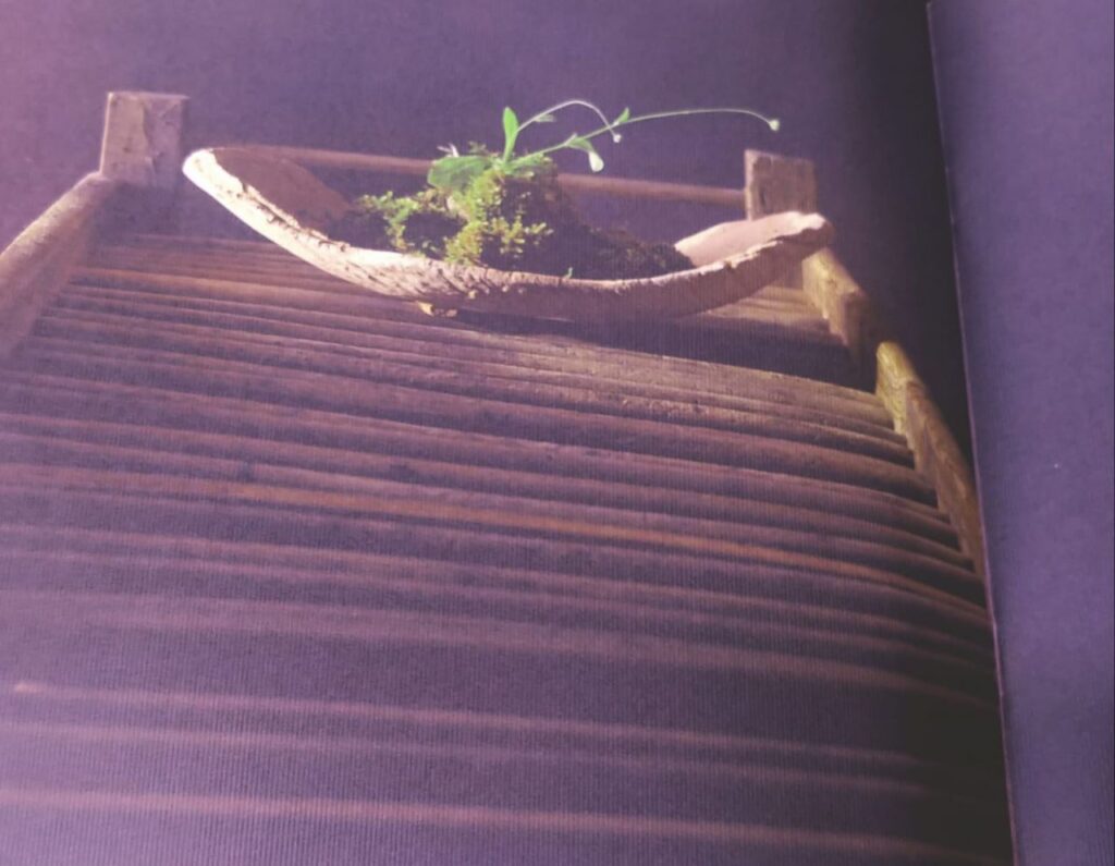 Imagen de galer&iacute;a 1185