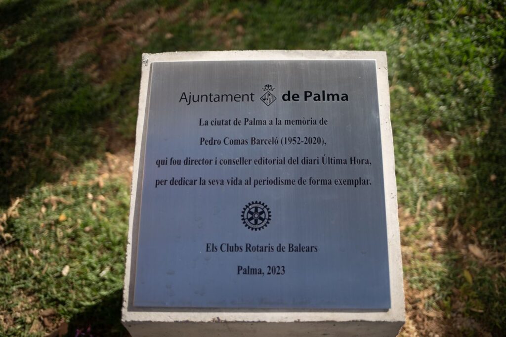 Imagen de galería 1336