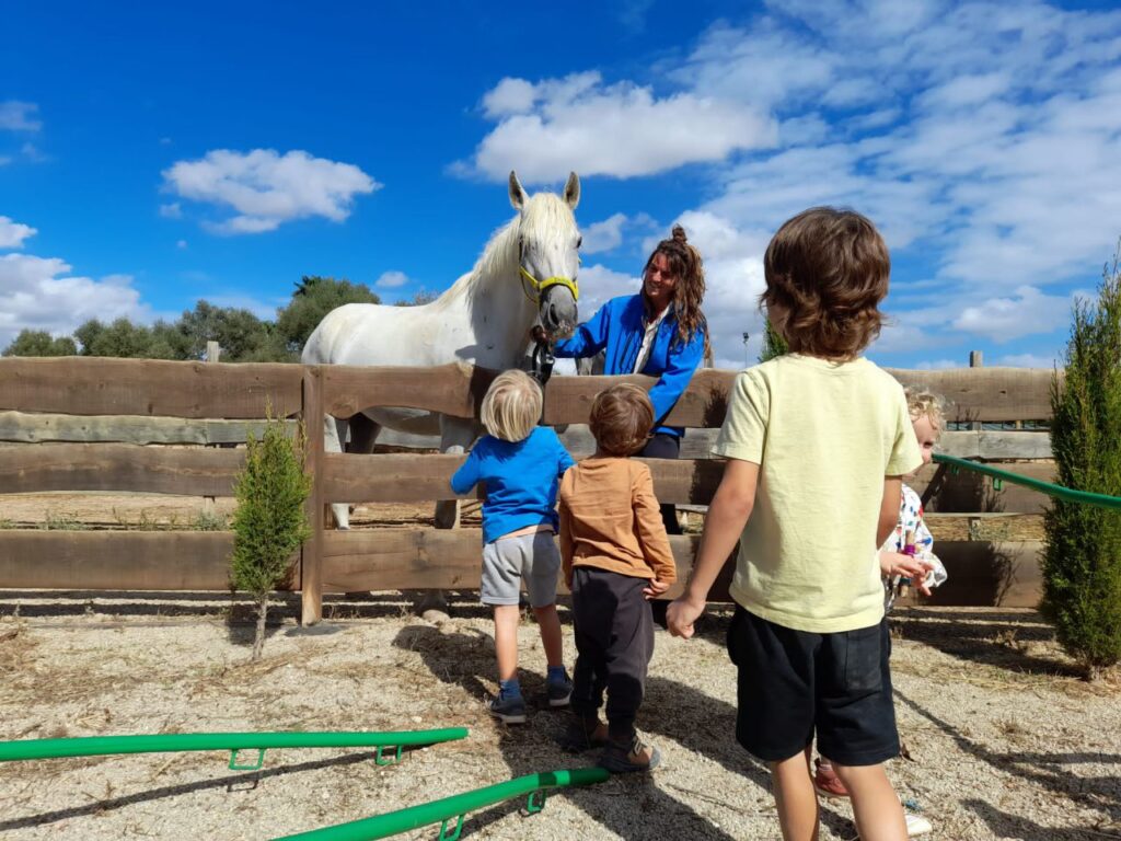 Imagen de galería 1389