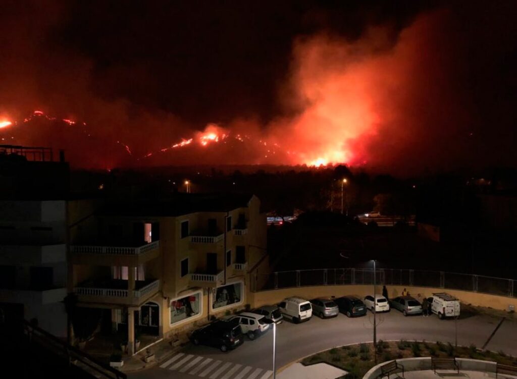 Imagen de galer&iacute;a 151