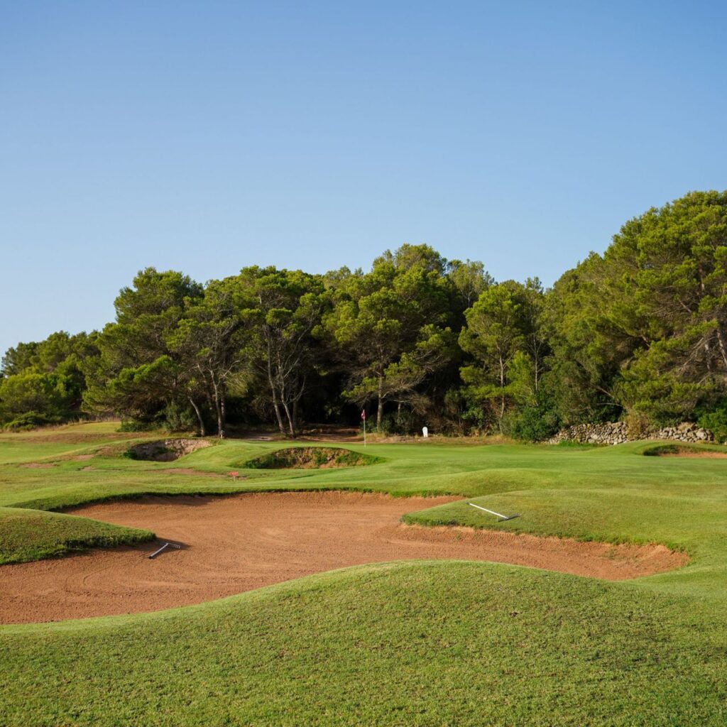 Imagen de galería 1835