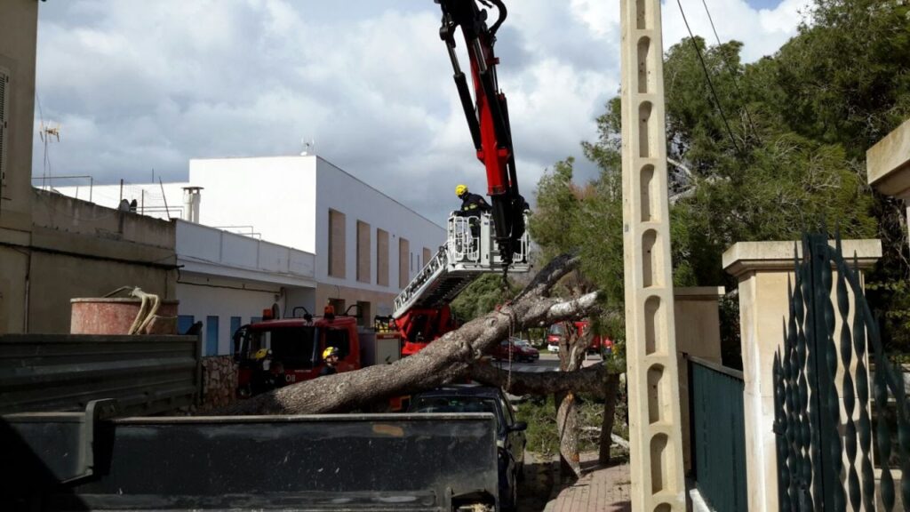 Imagen de galer&iacute;a 111