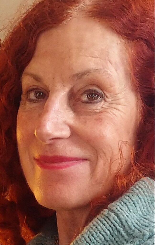 Imagen de galer&iacute;a 1254