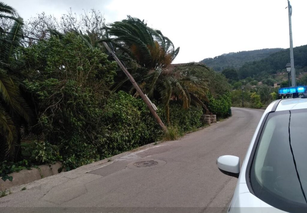 Imagen de galería 506