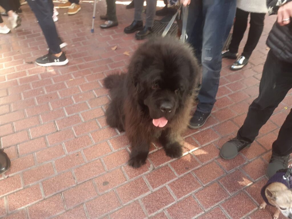 Imagen de galería 1253