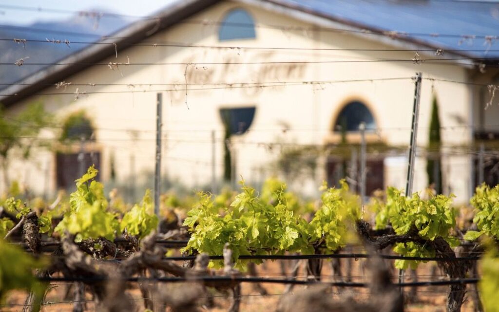 Imagen de galería 1340