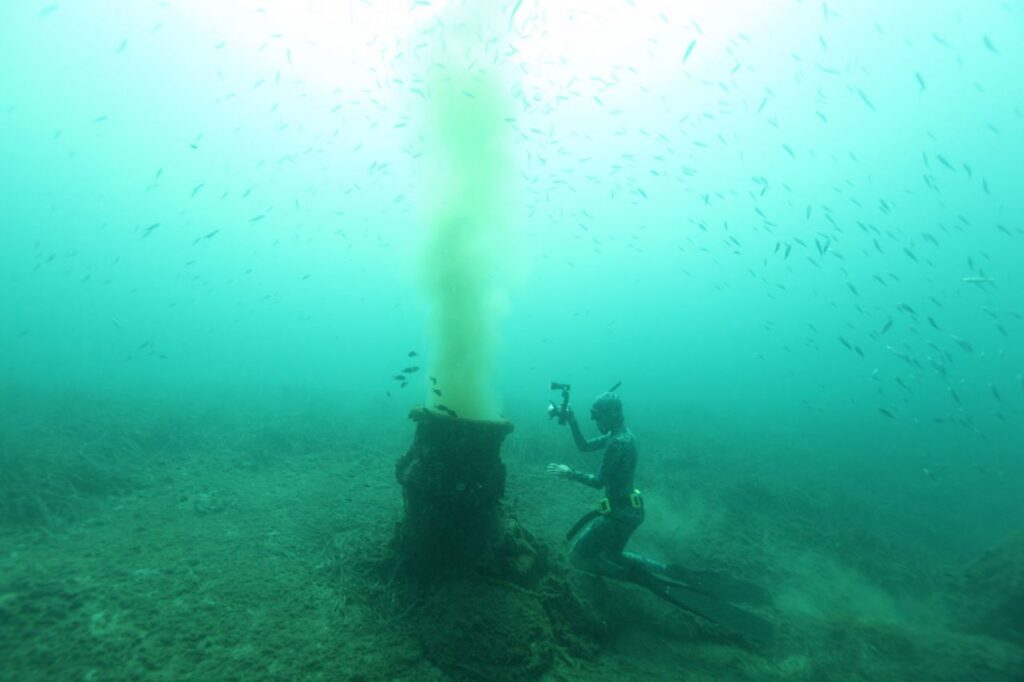 Imagen de galería 194