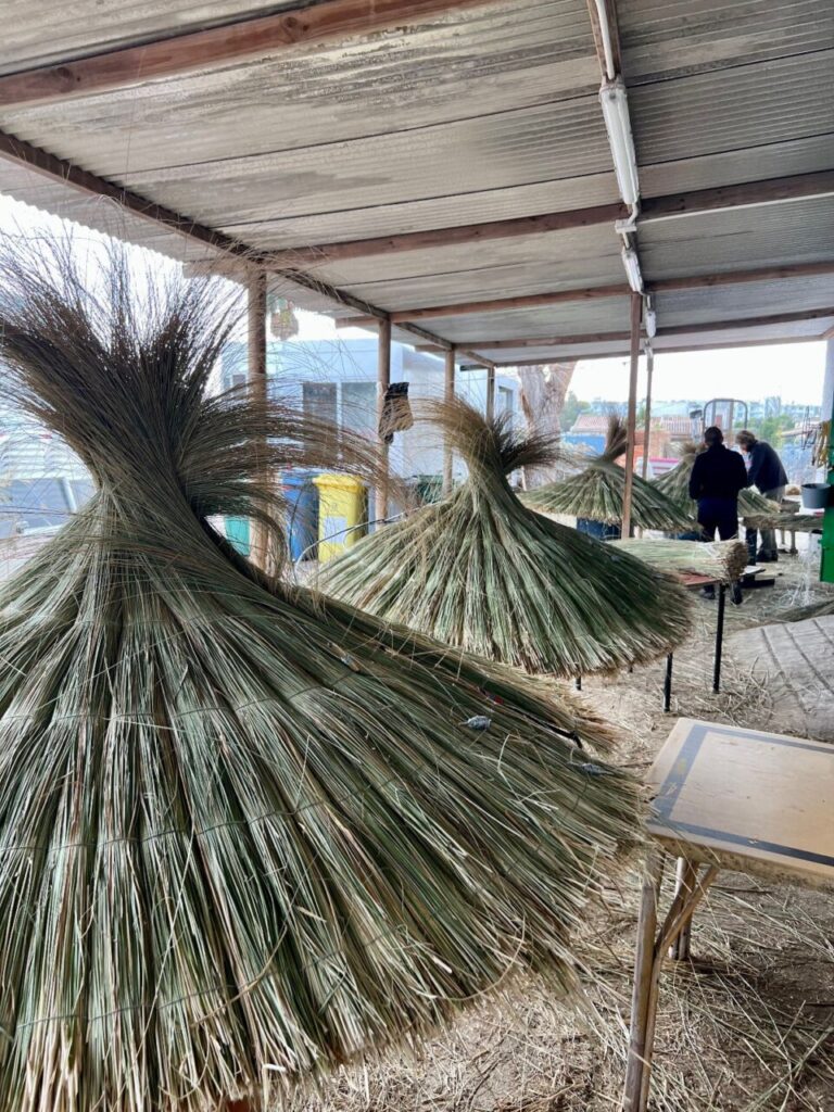 Imagen de galería 1301