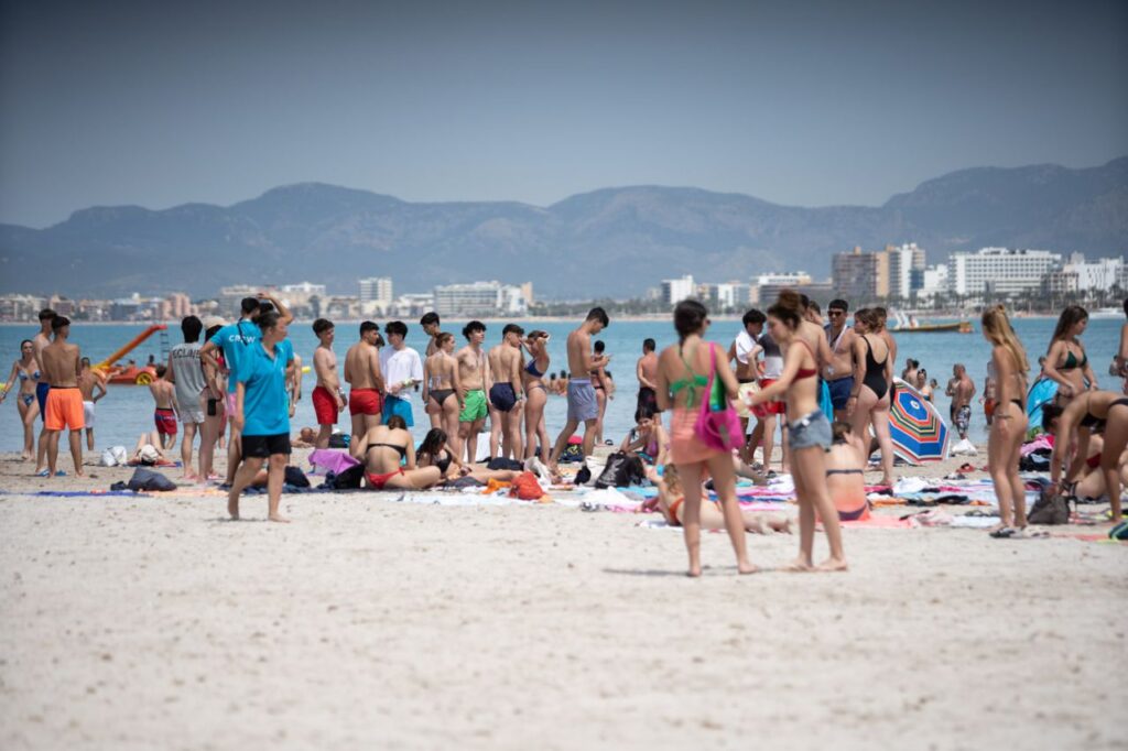 Imagen de galer&iacute;a 1042