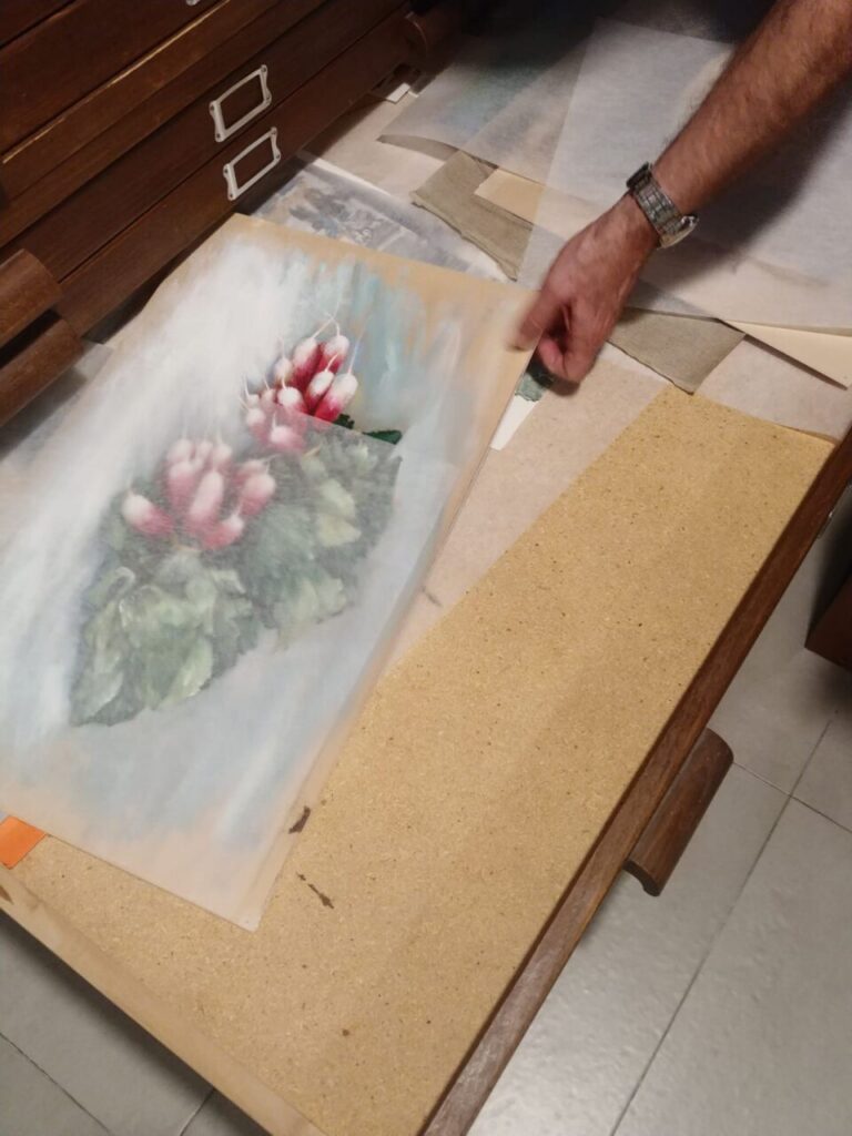 Imagen de galería 1140