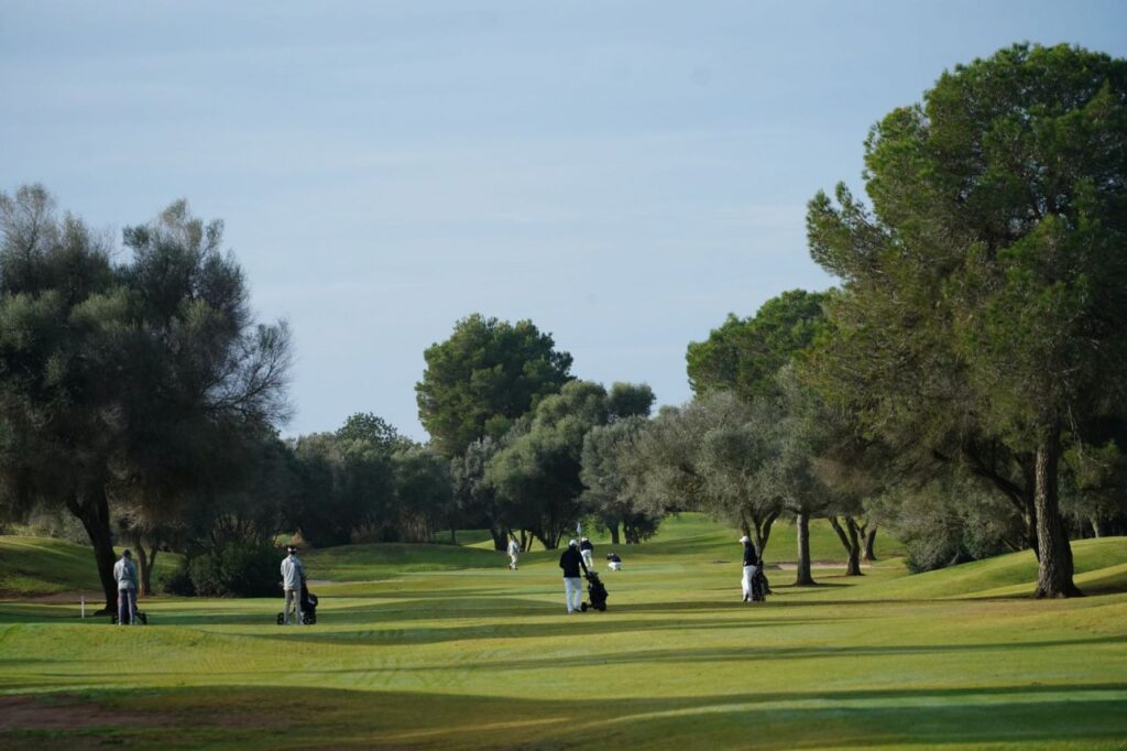 Imagen de galería 1620