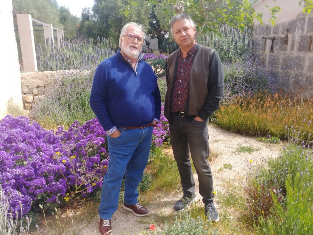 Imagen de galería 843