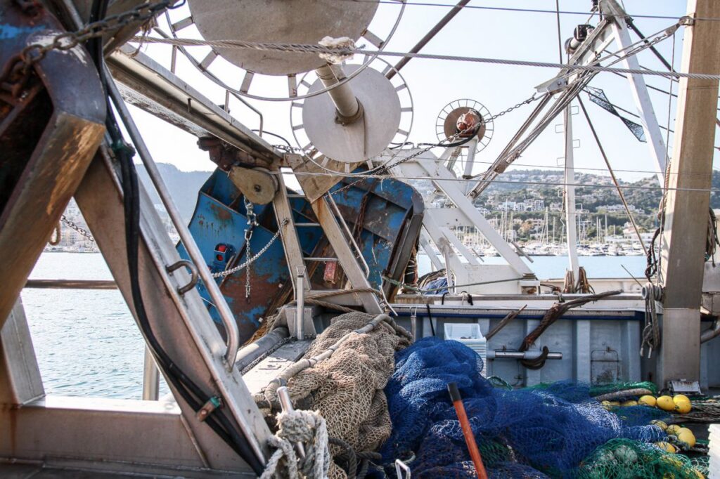 Imagen de galería 1415