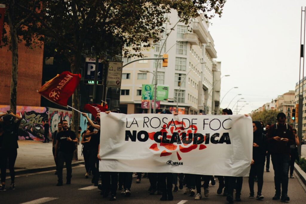Imagen de galería 634