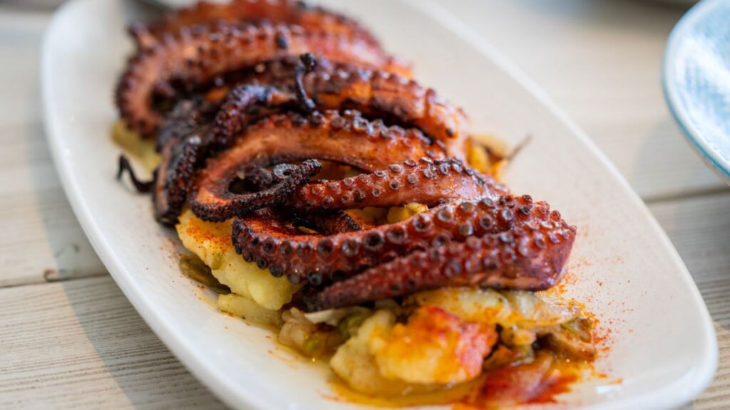 Imagen de galería 1355