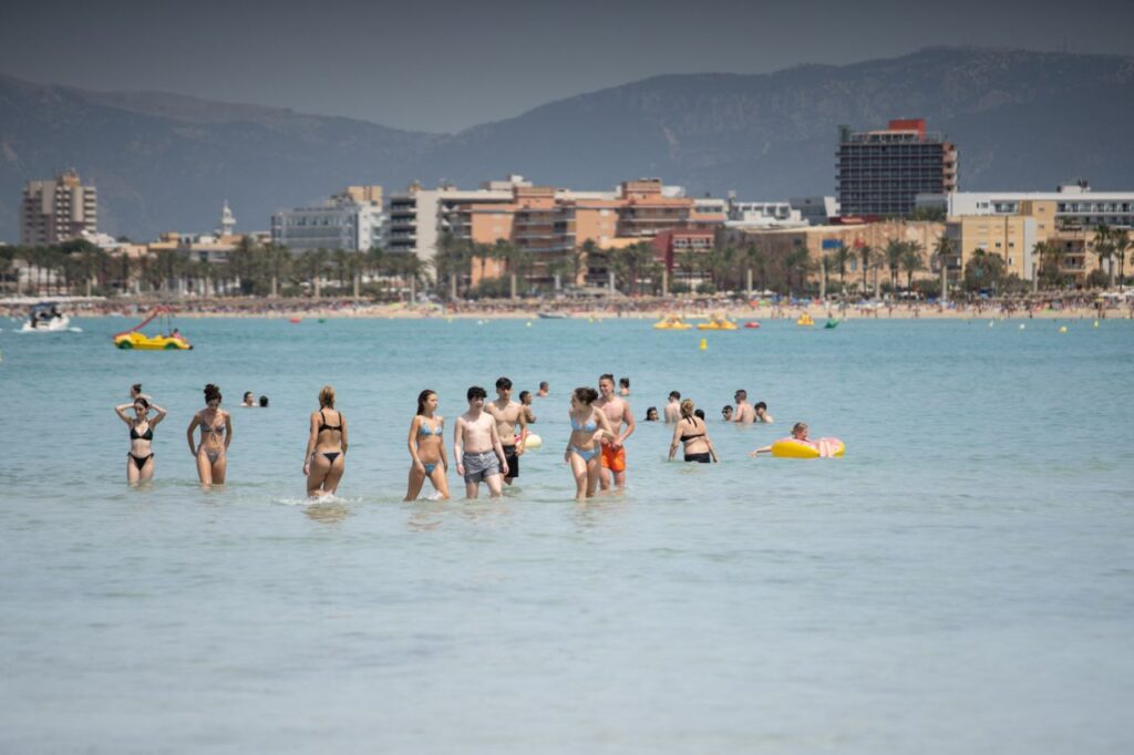 Imagen de galer&iacute;a 1042