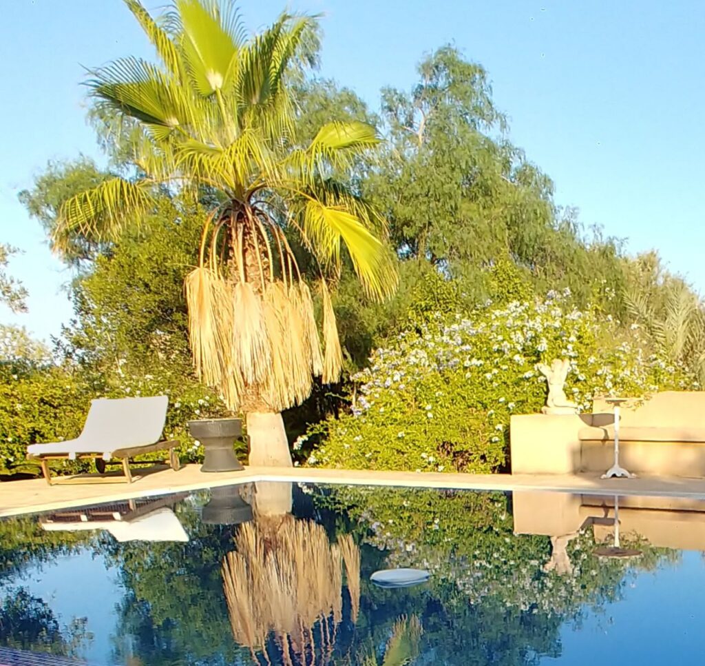 Imagen de galería 1086