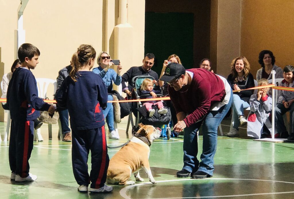 Imagen de galería 501