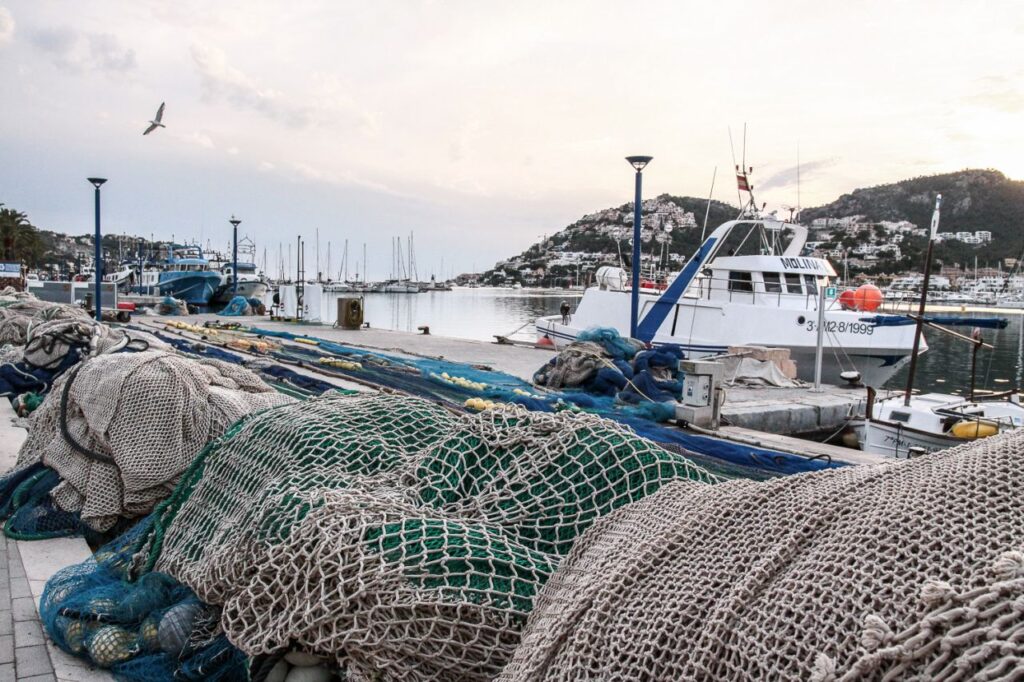 Imagen de galería 1415