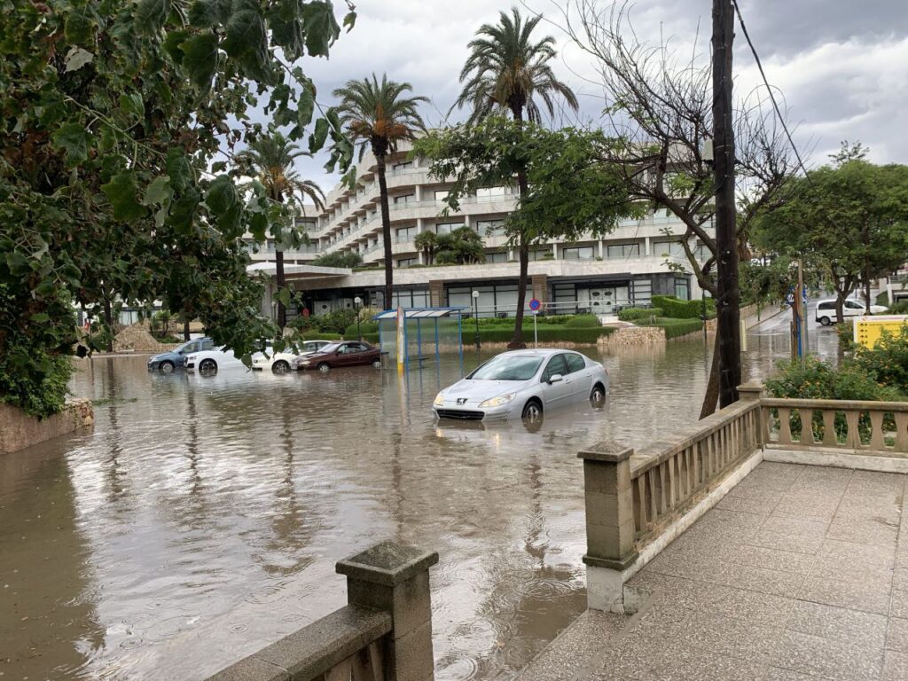 Imagen de galer&iacute;a 768