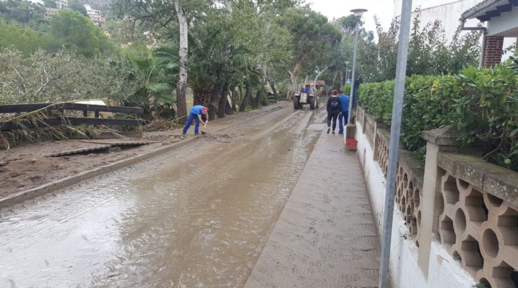 Imagen de galer&iacute;a 351