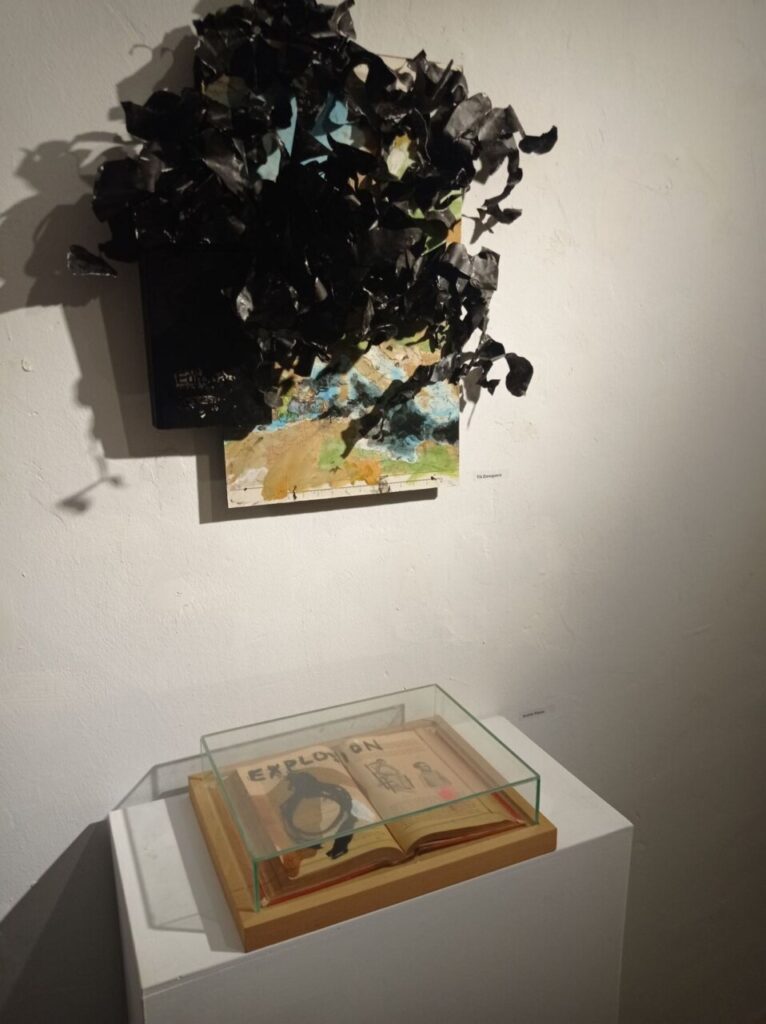 Imagen de galería 1182