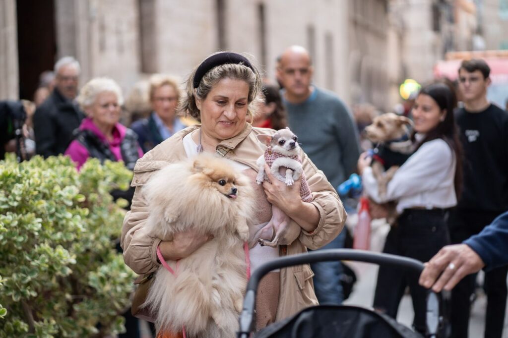 Imagen de galería 1625