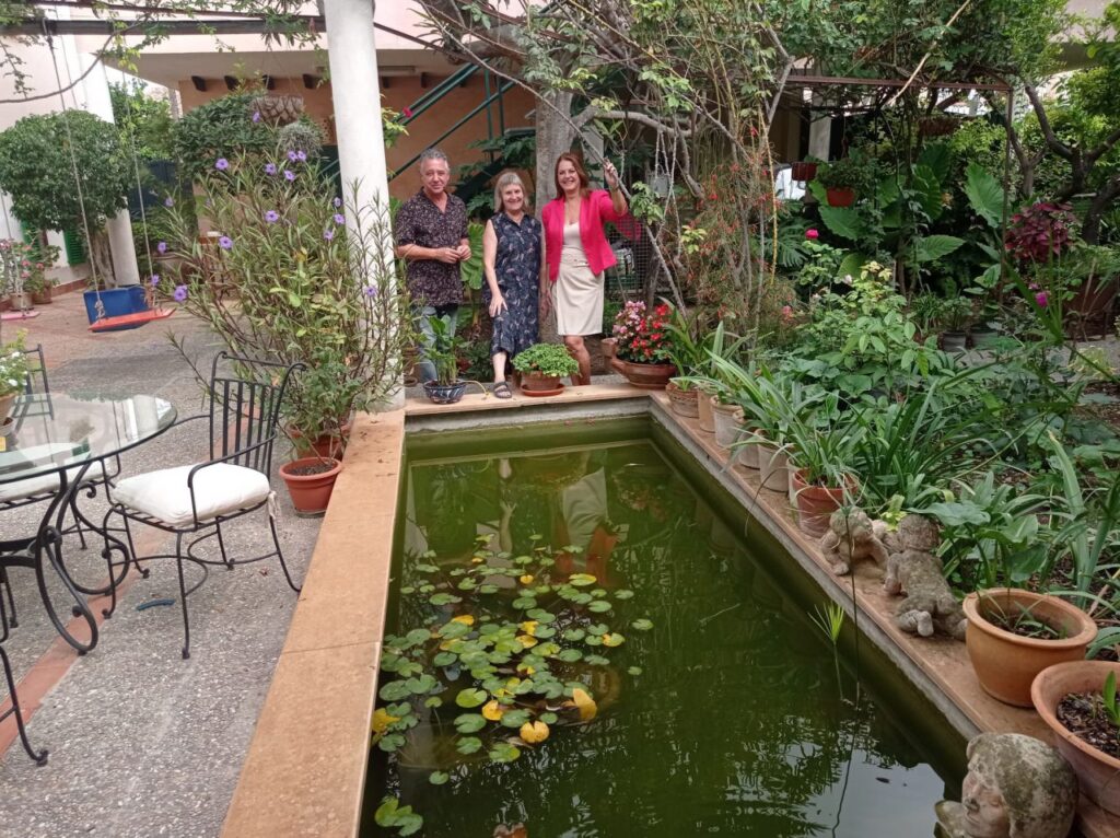 Imagen de galería 916