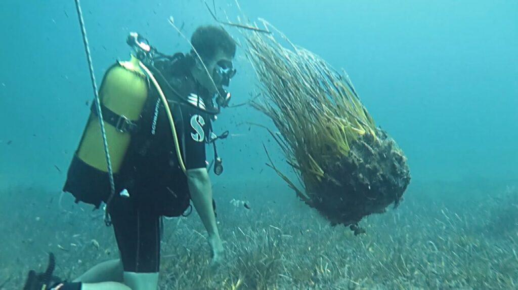 Imagen de galería 194