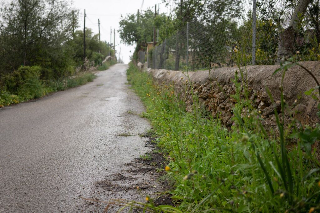 Imagen de galer&iacute;a 989