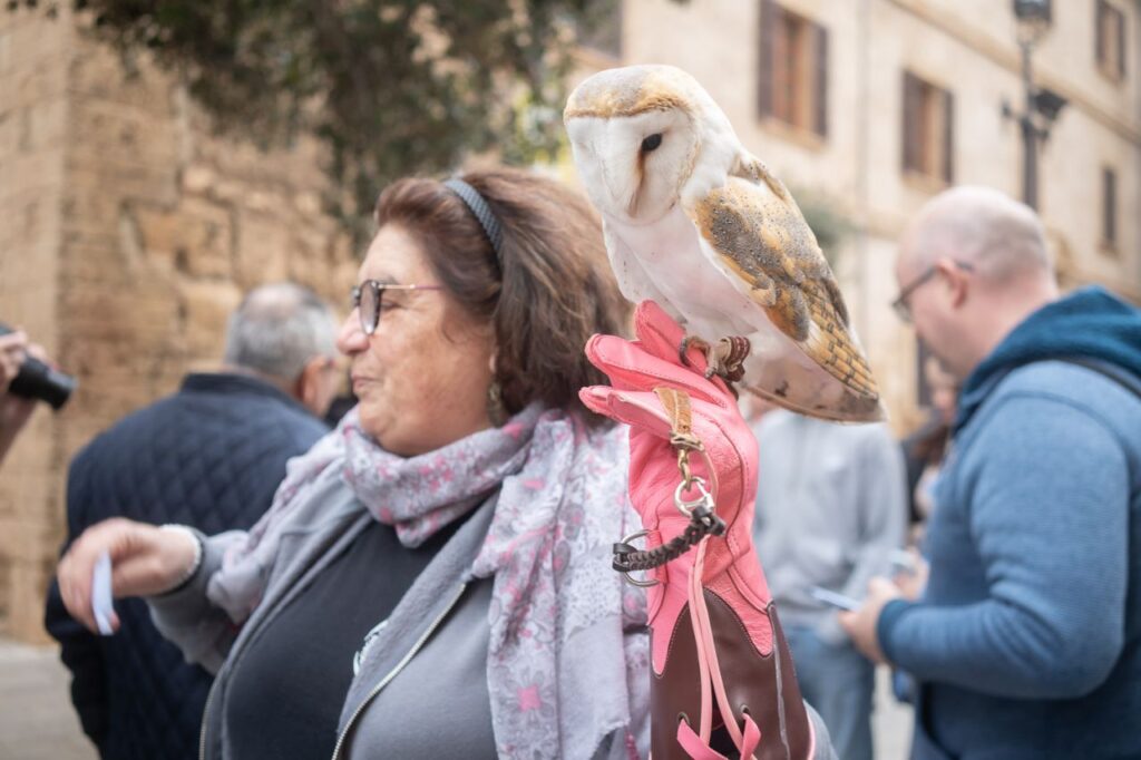 Imagen de galería 1625